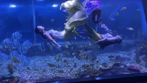 探索海底手机游戏_探寻海底的游戏_海底探险手游攻略