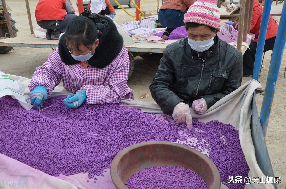 自由行下载_自由行怎么玩_自由行游戏手机