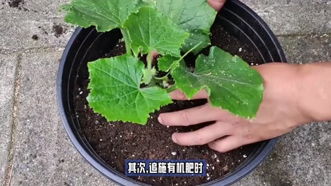 oppo手机黑屏了怎么办_oppo手机黑屏了怎么办_oppo手机黑屏了怎么办