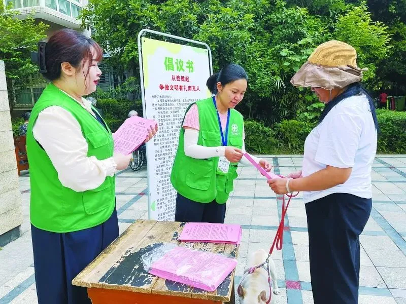 手机游戏打开后白屏_手机进游戏白屏_游戏手机壳白屏