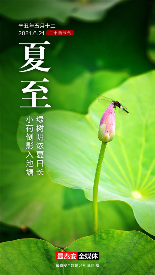夏至最长的白昼_夏至白昼最长夜晚最短_夏至时哪个地方的白昼最长?