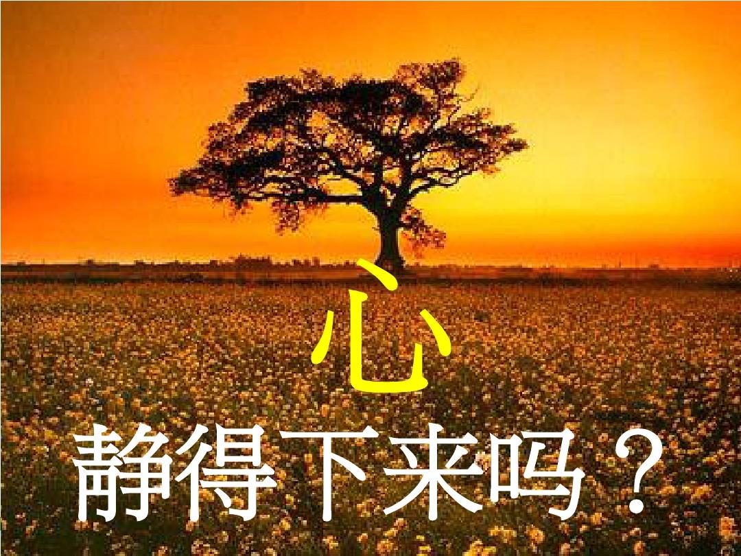 文字下边加横线_word文字下面怎么加横线_word中在文字下面加横线