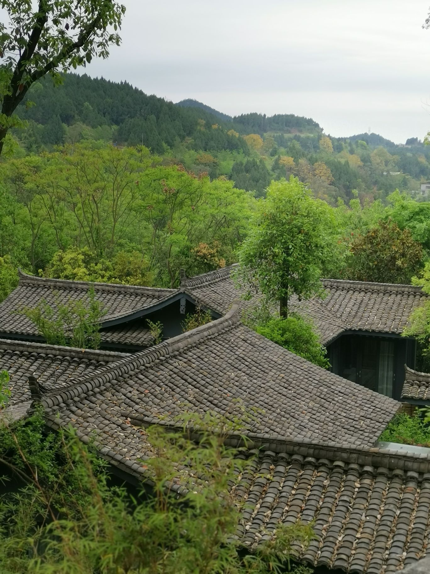 夏侯霸国战_三国杀夏侯霸_三国夏侯霸