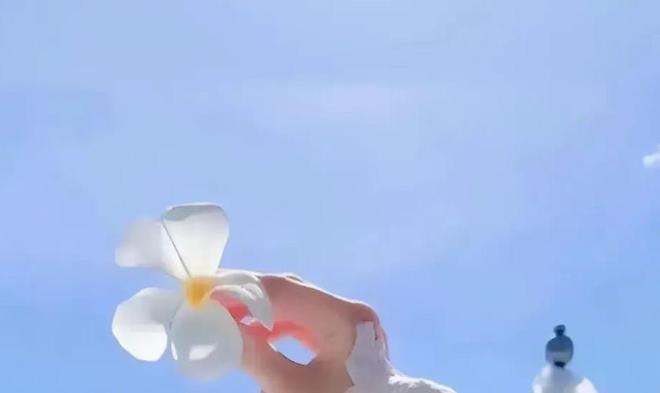 春节简介_中国春节简介_春节简介全英文