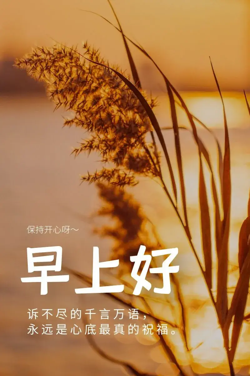 战争自由女神_战争及自由_自由战争