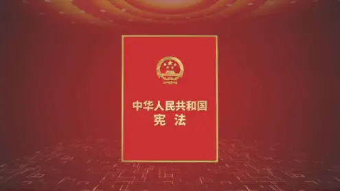 战术背心可以上飞机吗_战术背心图片_战术背心