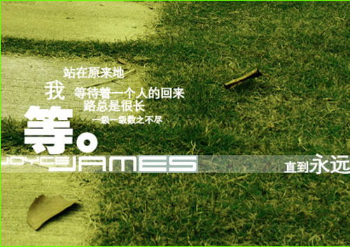新浪_新岚图free_新太