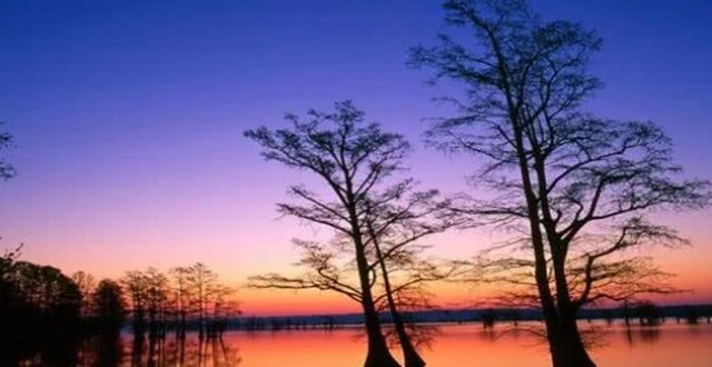 午夜伦理剧场_dy888电影通午夜伦理_午夜剧场1