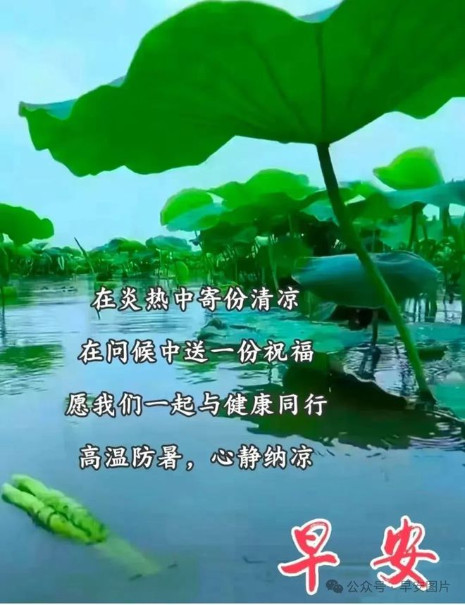 月日是啥意思_月日是哪天_7月9号是什么日子