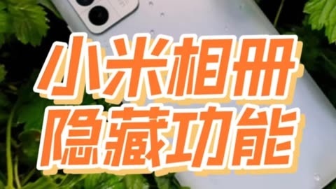 小米手机游戏隐藏器软件_小米11手机隐藏游戏下载_小米手机隐藏游戏的软件