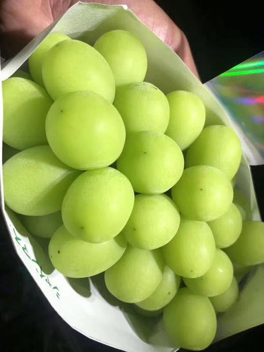 爆裂葡萄厉害吗_爆裂葡萄_爆裂葡萄怎么获得