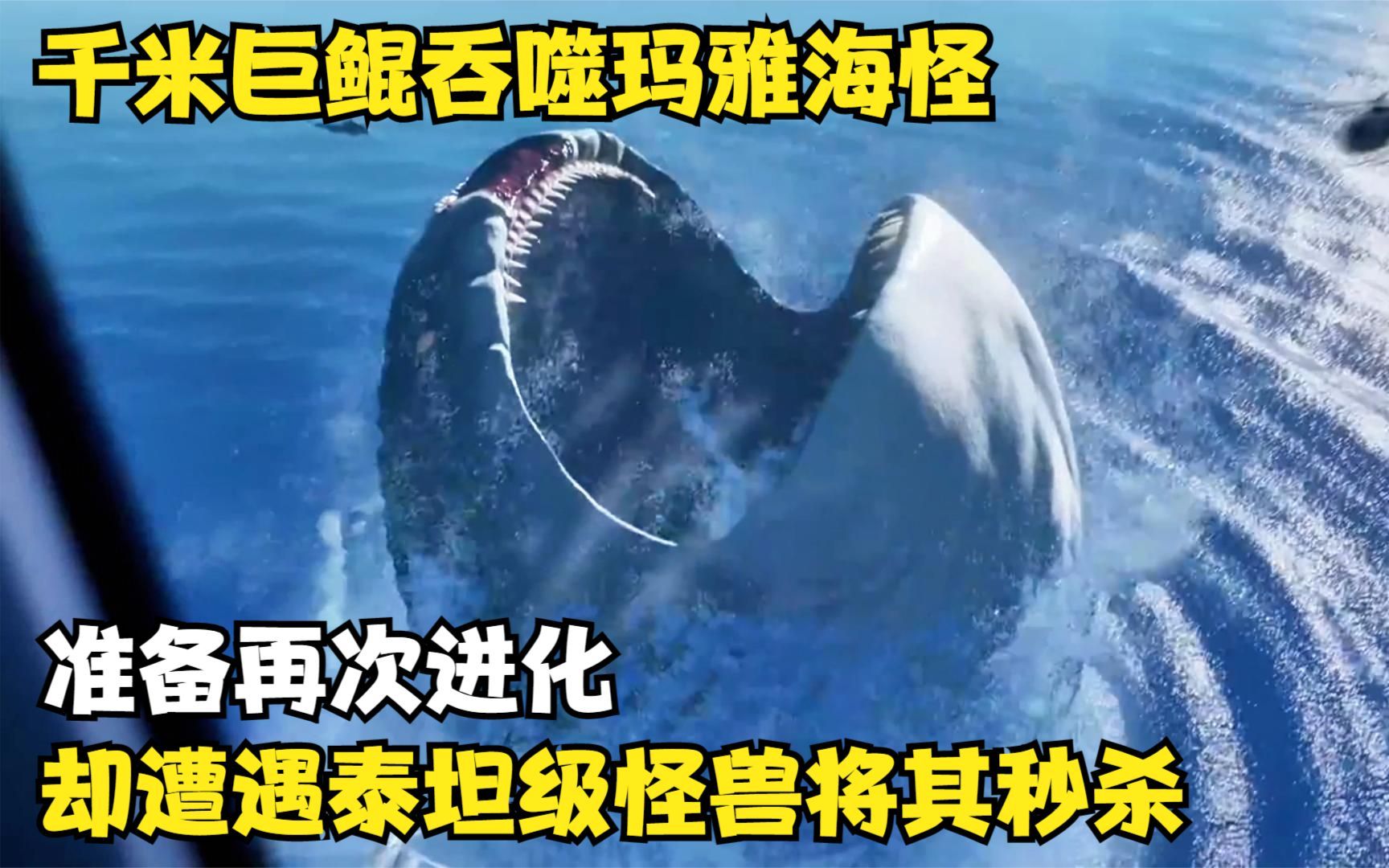吞噬进化手机游戏怎么玩_正版吞噬进化手游_吞噬进化游戏手机
