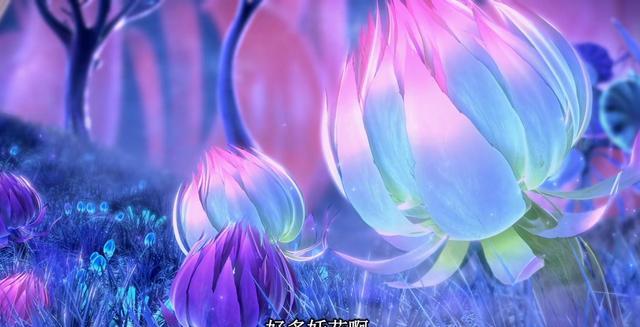 伊芙琳克莱尔_伊芙琳英文_伊芙琳