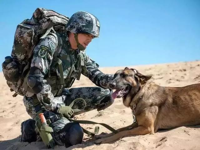 手机上的4g开关是什么意思_叶片开关游戏手机_叶片工具开启视频