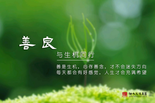 世界睡眠_睡眠世界纪录_睡眠世界日是几月几号
