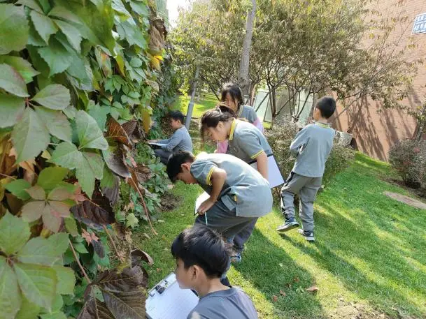 比特币官网_pi币官网_pi币官网下载