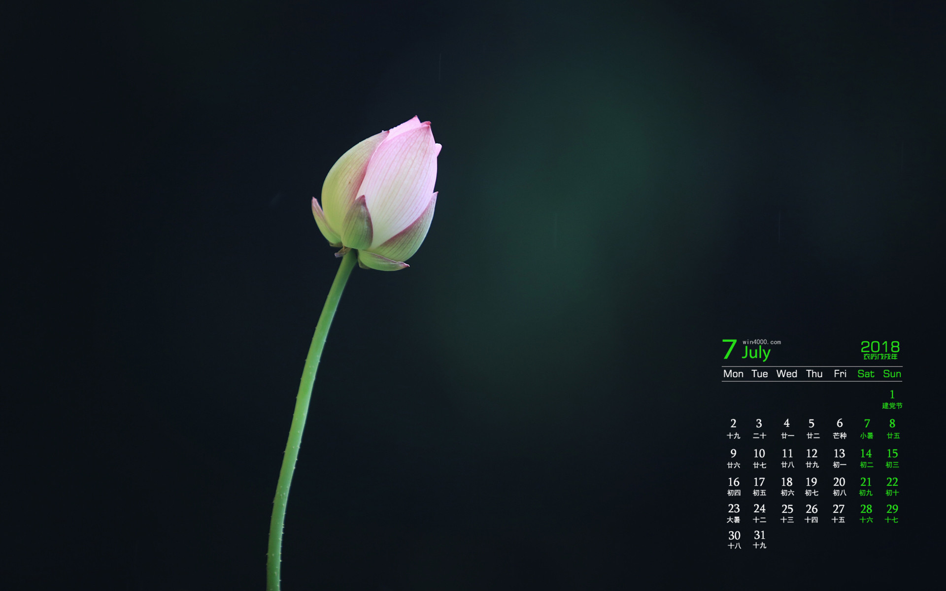 哈尼十月年_那年有润月年_2011年7月14日