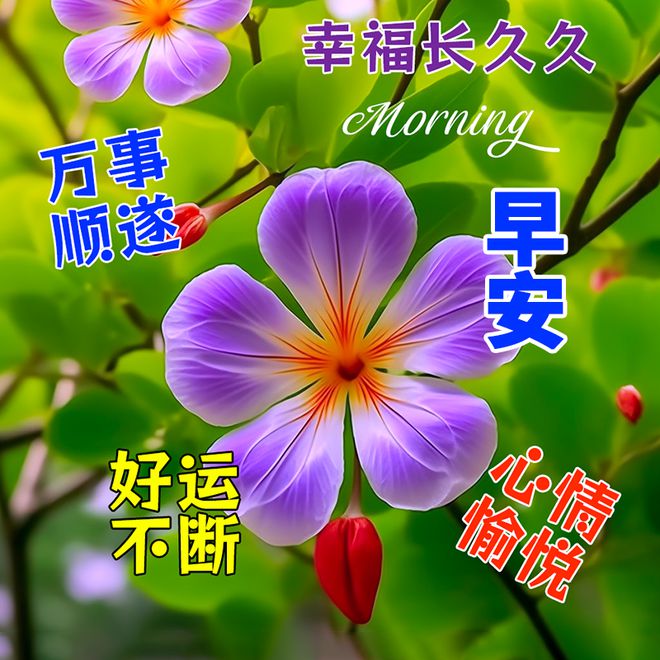 5月17_月经周期多少天为正常范围_月亮的拼音