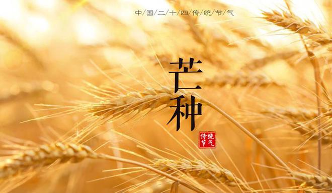 立夏谚语_立夏谚语_立夏谚语