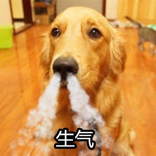 无聊玩的双人游戏_双人无脑手机游戏_双人无聊游戏