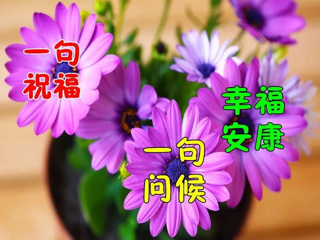元旦短信祝福语2024版大全_元旦短信祝福领导_元旦祝福的短信