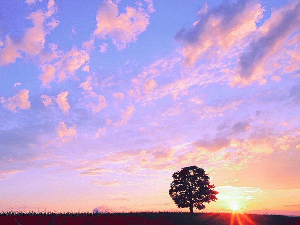 动漫天空城堡图片_天空之城动漫_动漫天空城或者天空岛