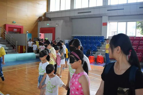 义教游戏,义教游戏助力青少年成长与团队协作”