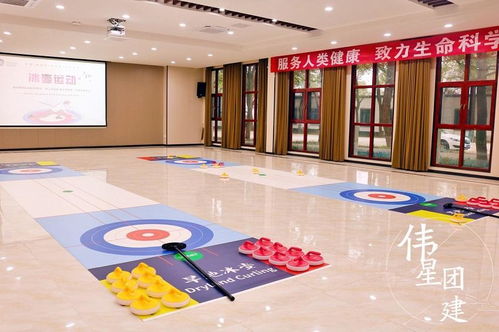 集体游戏大全室内,集体游戏大全精选