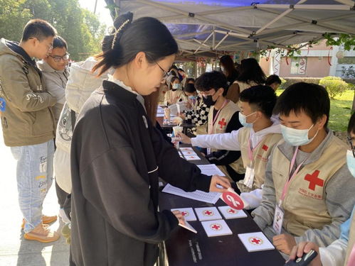 防艾活动小游戏,共筑防艾防线——创意小游戏助力艾滋病知识普及”