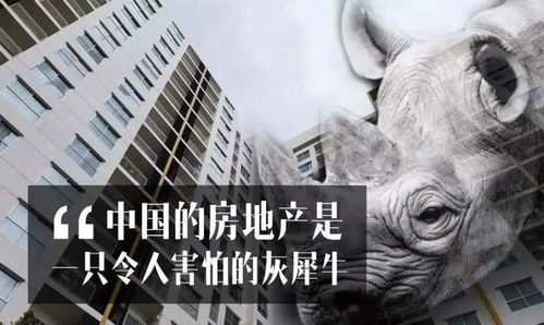 一反常态游戏规则,一反常态游戏规则揭秘