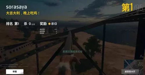 无需网络的吃鸡游戏,盘点热门单机吃鸡游戏
