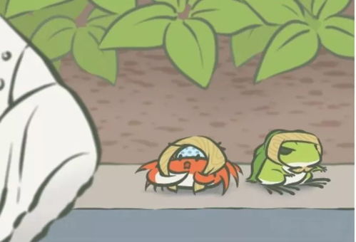 联想看家 