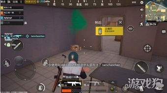 功夫鸡的魔蛋游戏下载 