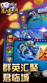 龙与虎游戏安卓版,体验史诗级冒险之旅