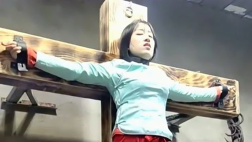 犯人就是我2游戏汉化版 